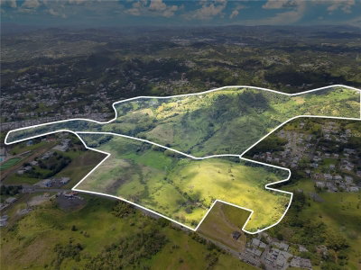 7786 BO BEATRIZ KM 0.5, Cayey, PR, 00736 — photo 2