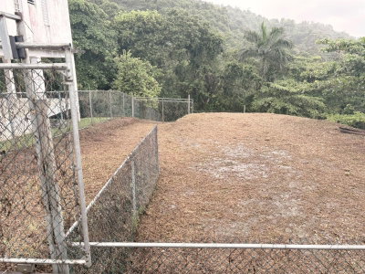 BO PITAHAYA, Luquillo, PR, 00773 — photo 2
