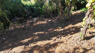 186 CAMINO LOS REYES, Canovanas, PR, 00729 — photo 2