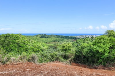 KM 2.4 INT LA RAMPLA, Hatillo, PR, 00659 — photo 2