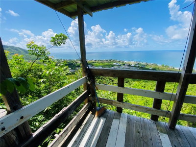 FARM AMAZING OCEAN VIEW, Patillas, PR, 00723 — photo 2