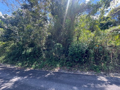BO. GUANAJIBO, Hormigueros, PR, 00660 — photo 2