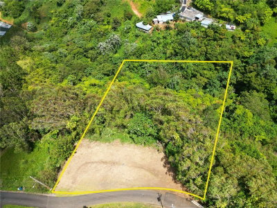 St. 809 CEDRO ARRIBA SECTOR SANTA TERESITA II, Naranjito, PR, 00719 — photo 2