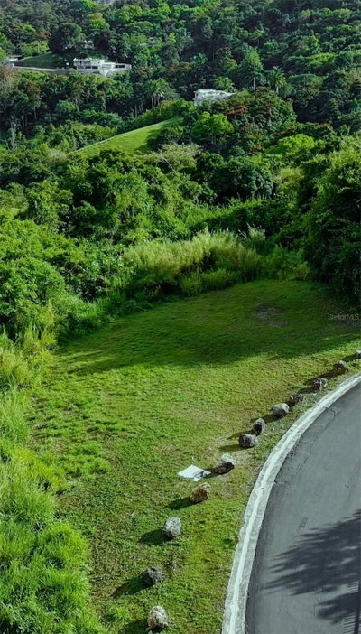CARR 185 LOTE F BO CARRUZOS, Carolina, PR, 00987 — photo 2