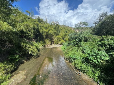PR-335, Guayanilla, PR, 00656 — photo 2