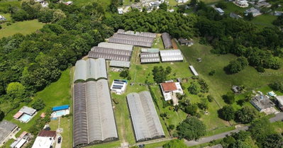 Carr. 137 km 9. BO. FRANQUES, Morovis, PR, 00687 — photo 2