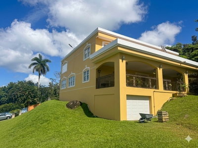 Bo Beatriz Las  FINCA MI RECREO  LOT 28, Caguas, PR, 00725 — photo 2