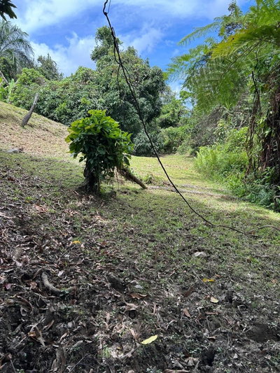 PR 9989 INT, Luquillo, PR, 00773 — photo 2