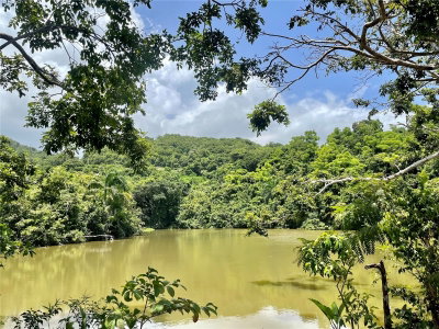 981, Ceiba, PR, 00735 — photo 2