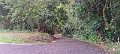 BARRIO MAMEYES, Rio Grande, PR, 00745 — photo 2