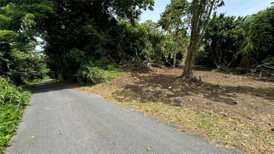 BO CIDRAL PR-111, San Sebastian, PR, 00685 — photo 2