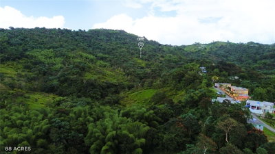 PR-181 km 11.0 CAYAGUAZ, San Lorenzo, PR, 00754 — photo 2