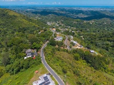 PR-879 BO GUARAGUAO-VISTAS DE ENSUEÑO, Bayamon, PR, 00956 — photo 2