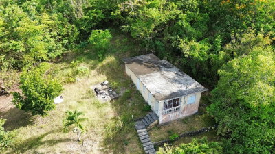 753 CARR. 753 KM HM 2.9 BO CACAO, Patillas, PR, 00723 — photo 2