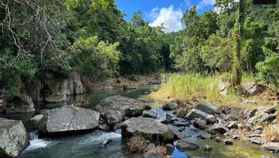 LAS LOMAS, Canovanas, PR, 00729 — photo 2