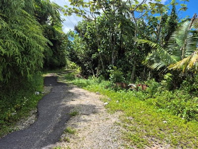 KM 24.1 PR 143, Juana Diaz, PR, 00795 — photo 2