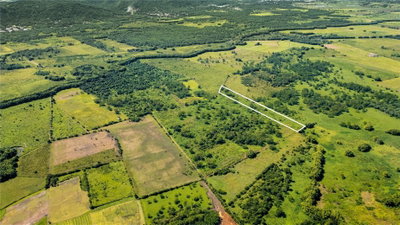 2 KM 162 BENAVENTE Road, Hormigueros, PR, 00660 — photo 2