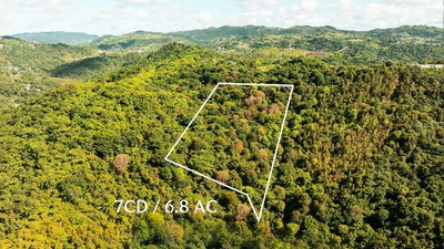 Carr 853 BO. CACAO LOTE 15, Carolina, PR, 00987 — photo 2