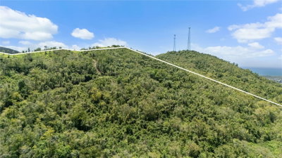 PR-748 CAIMITAL, Guayama, PR, 00784 — photo 2