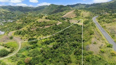 442 URB. VALLE ALTO Avenue, Cayey, PR, 00736 — photo 2