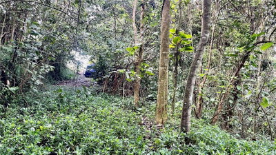 718 BO. PASTO Road, Aibonito, PR, 00705 — photo 2