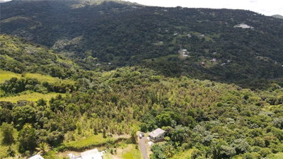 185 Km. 5.8 BO CAMPO RICO SECTOR PENIEL, Canovanas, PR, 00729 — photo 2