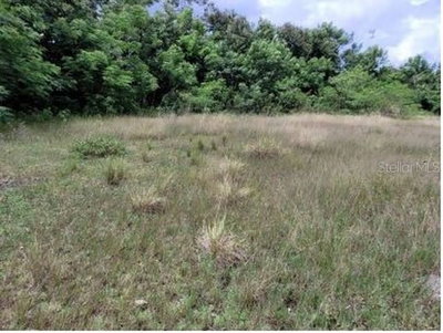 FELIPE LA VOZ RODRIGUEZ, Guaynabo, PR, 00969 — photo 2