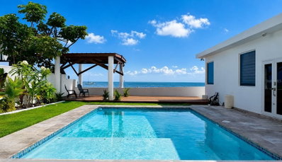 CARR 3 BO BAJOS VILLA PESQUERA, Patillas, PR, 00723 — photo 2