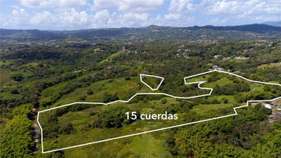 BO. VALENCIANO, Juncos, PR, 00777 — photo 2