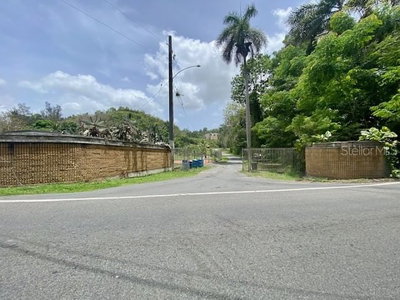 PR 155 RAMAL 646, Vega Baja, PR, 00693 — photo 2
