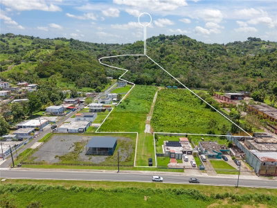 PR 182 KM 3.3 BO. CALABAZAS, Yabucoa, PR, 00767 — photo 2