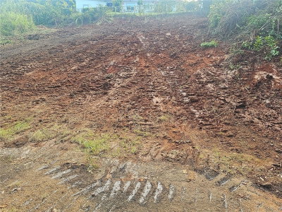 975 INT, Ceiba, PR, 00735 — photo 2