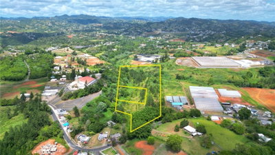 779 St. QUEBRADILLAS, Barranquitas, PR, 00794 — photo 2