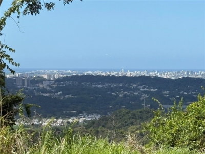 QUEBRADA GRANDE, Trujillo Alto, PR, 00976 — photo 2