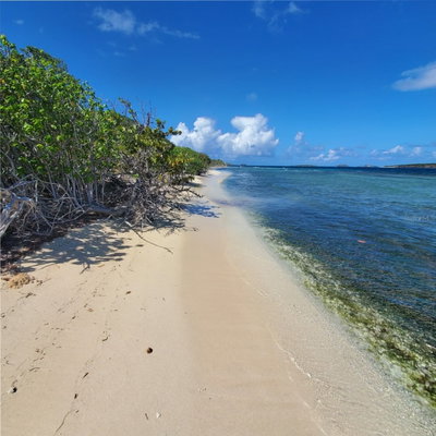 8C BARRIO FRAILES, Culebra, PR, 00775 — photo 2