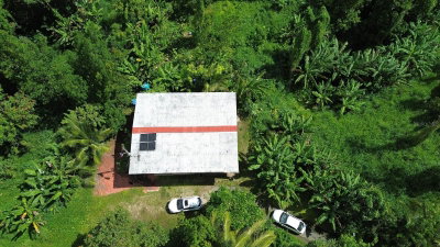 PR-183, San Lorenzo, PR, 00754 — photo 2