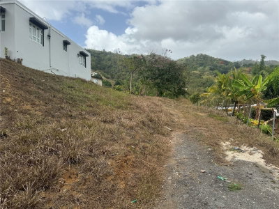 1 BO QUERUBE HATO NUEVO, Gurabo, PR, 00778 — photo 2