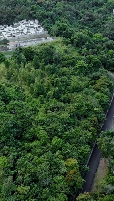 Carr 185 ., Carolina, PR, 00987 — photo 2