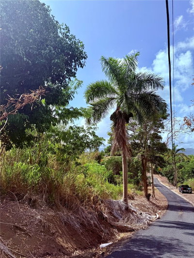 857 ROUTE, Carolina, PR, 00987 — photo 2
