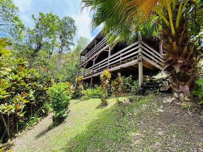 CARR 1 RUTA 715KM 3.5 LOTE 3, Cayey, PR, 00736 — photo 2