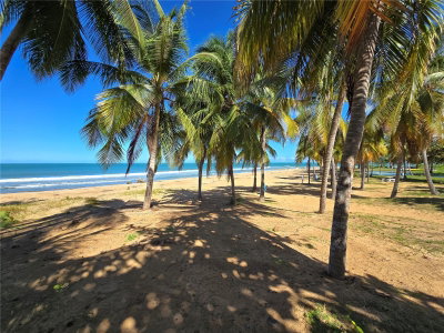 351 LAS PICAUS, PLAYAS DEL YUNQUE, Rio Grande, PR, 00745 — photo 2