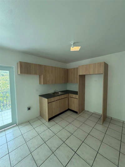 164 Palmarejo PALMAREJO, Corozal, PR, 00783 — photo 2