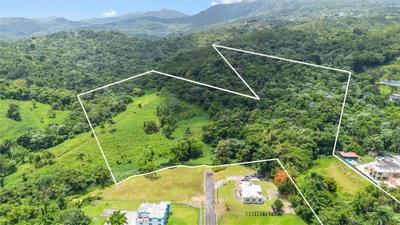 968 BO. ZARZAL, Rio Grande, PR, 00745 — photo 2