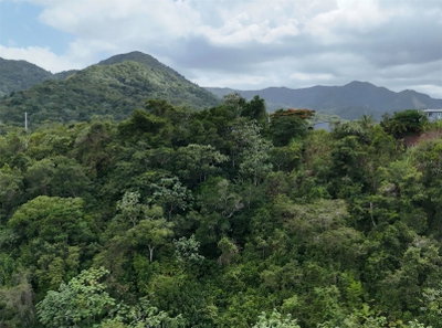 131 GUILARTE, Adjuntas, PR, 00601 — photo 2