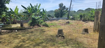 Carr. 434, KM.  BO. CUCHILLAS, Moca, PR, 00676 — photo 2
