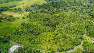Ceiba, PR, 00735 — photo 2