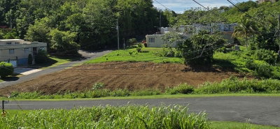URB. COLINAS DE PALMARITO, Arecibo, PR, 00612 — photo 2