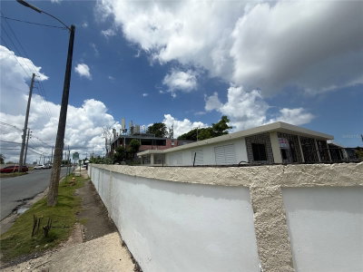 24 AVE LAUREL, Bayamon, PR, 00956 — photo 2