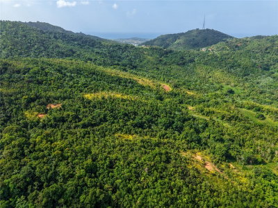 982 FINCAS DE NARANJO, Fajardo, PR, 00738 — photo 2