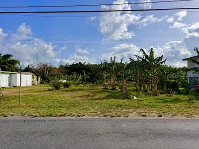 BO LIMONES 2, Yabucoa, PR, 00767 — photo 2